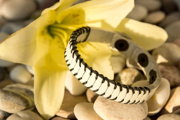 Vitt läderarmband — Stockfoto