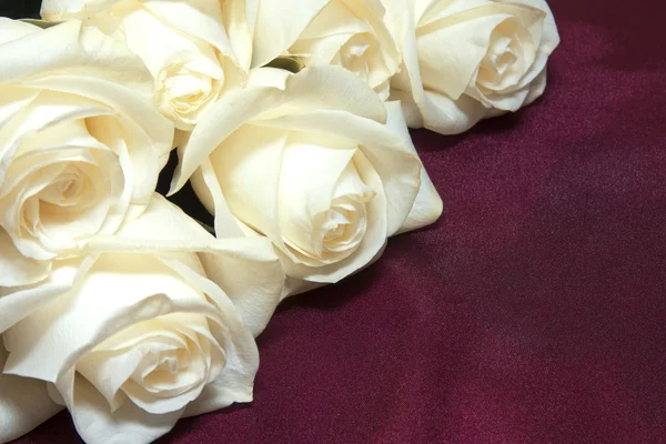 Rose bianche su seta — Foto Stock