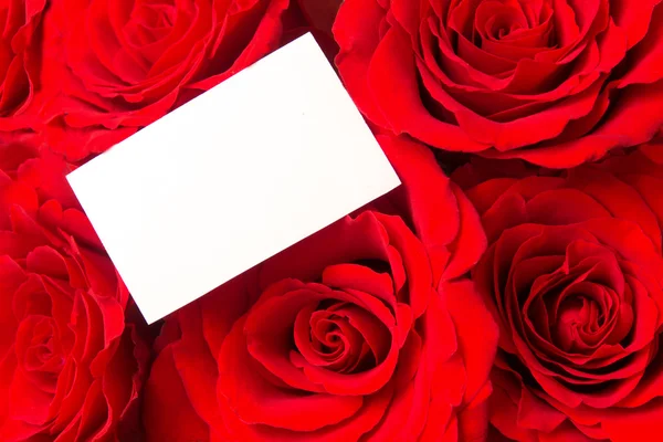 Rote Rosen und leere Karte — Stockfoto