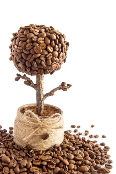 Handgemaakte koffie tree — Stockfoto