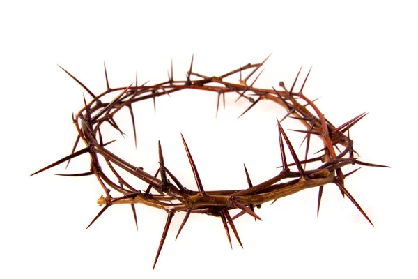 Crown of thorns — Stock Photo, Image