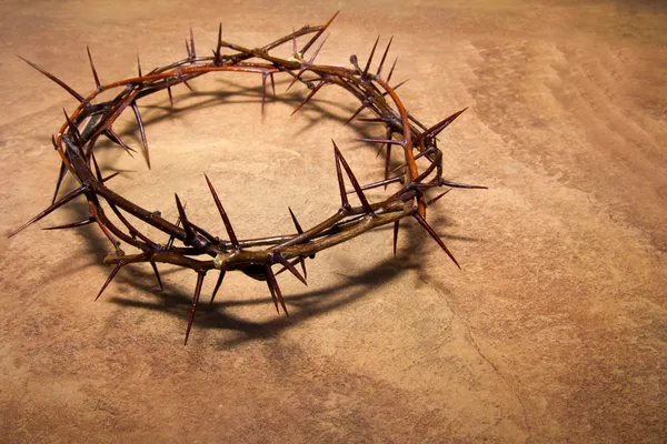 Crown of thorns Royalty Free Stock Photos