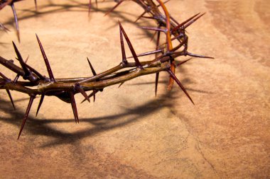 Crown of thorns clipart