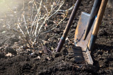 eski Bahçe aletleri