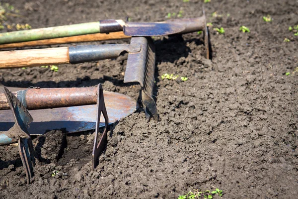 Gamla trädgård verktyg — Stockfoto