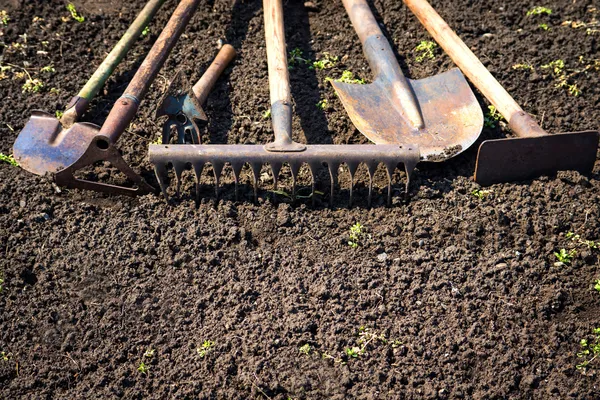 Gamla trädgård verktyg — Stockfoto