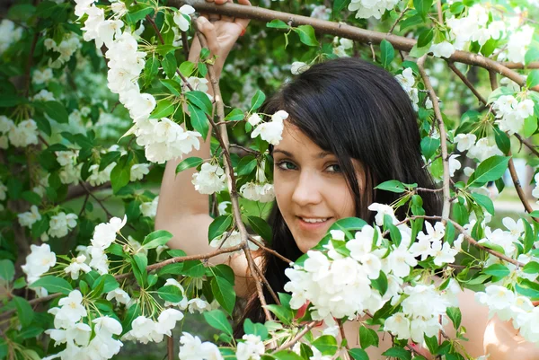 Chica y manzano de primavera —  Fotos de Stock