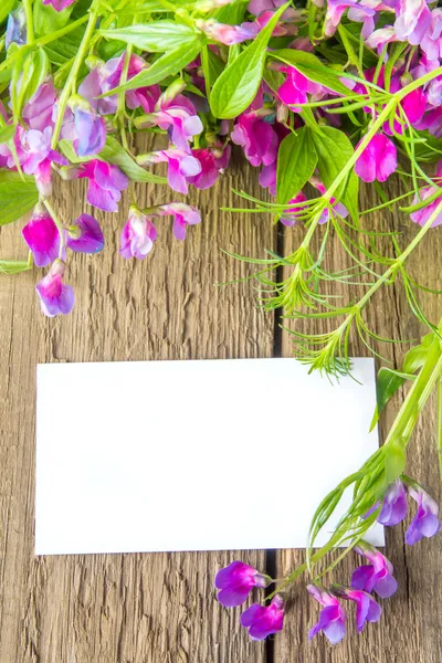空白の名刺と春の花 — ストック写真