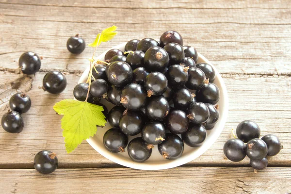 Black currant — Stock Photo, Image