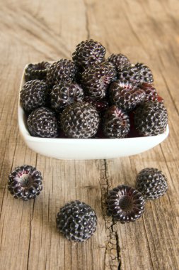 siyah rasberry