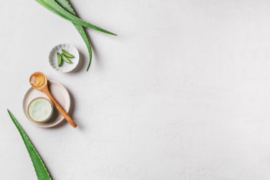 Aloe Vera Bitkisi, beyaza jöle, üstten görüntü, kopyalama alanı. Yüz ve vücut bakımı için doğal organik aloe vera kozmetik jel.