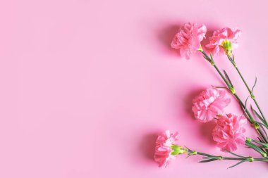 Pembe renkli karanfil çiçekleri arka planda, kopyalama alanı. Sevgililer günü, Anneler Günü, davetiye ya da tebrik kartı, düz konum, üst manzara.