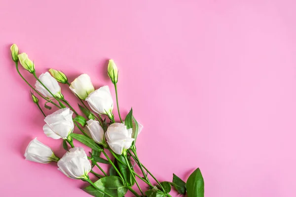 ピンクのパステルカラーの背景に白いユーズヤの花 コピースペース バレンタインデー母の日招待状やグリーティングカードフラットレイトップビュー — ストック写真
