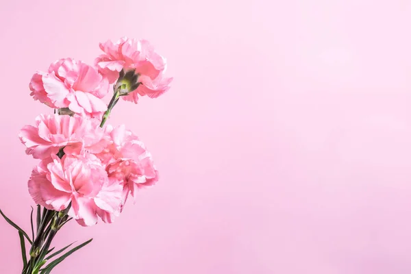 Rosafarbene Nelkenblüten Auf Rosa Pastell Hintergrund Kopierraum Valentinstag Muttertag Einladung — Stockfoto