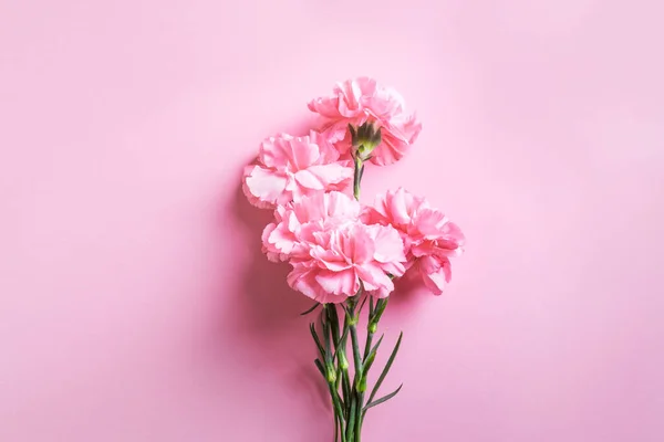 Pink carnation flowers on pink pastel background. Valentines day, mother\'s day, invitation or greeting card, flat lay, top view.