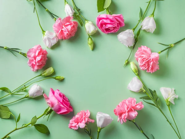 Rosa Ros Pioner Och Nejlika Blommor Ram Grön Pastell Bakgrund Stockbild