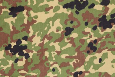Japon silahlı kuvvetleri flecktarn kamuflaj kumaş dokusu backgro