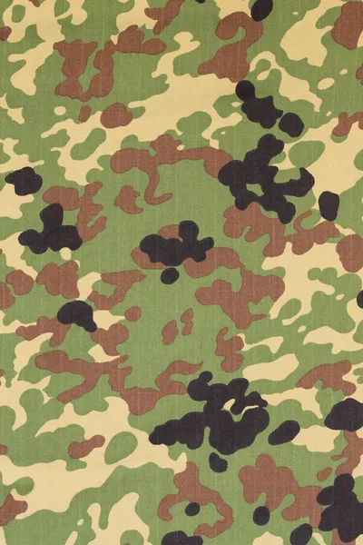 Japoński uzbrojone siły kamuflażu flecktarn tkanina tekstura backgro — Zdjęcie stockowe