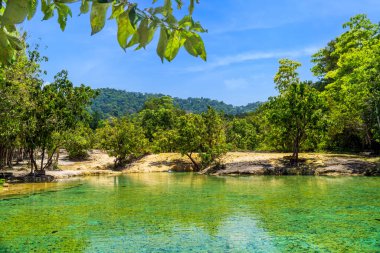 Güzel kristal berraklığında Zümrüt Havuzu, ya da Sa Morakot, Tayland, Yengeç 'te ünlü doğal yüzme ve turizm merkezi..