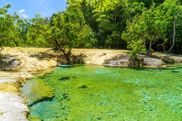 Schöne Kristallklare Emerald Pool Oder Morakot Berühmter Naturbadeort Und Touristenziel — Stockfoto