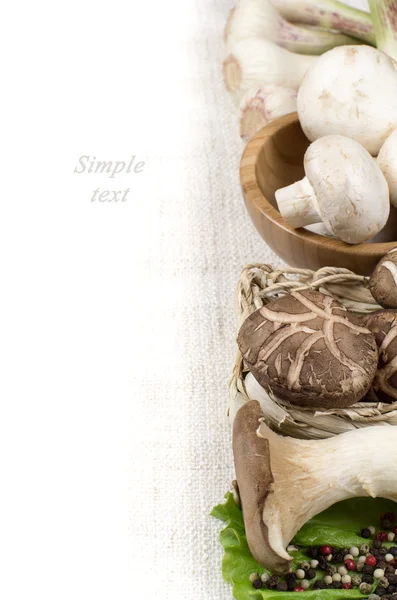 Menu restaurant Page - Champignon Photo De Stock