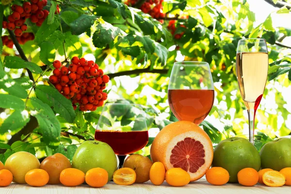 포도주와 과일 스톡 이미지