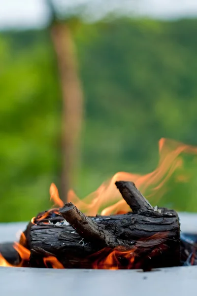 Fuoco a legna nella griglia Foto Stock