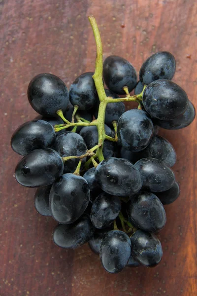 Bunch of black grapes — Stock Photo, Image