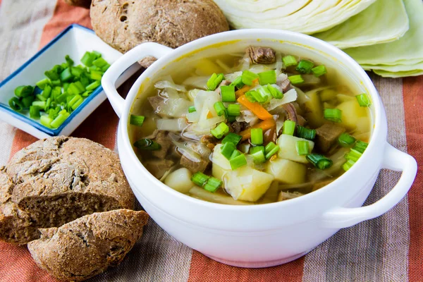Суп с говядиной и капустой — стоковое фото