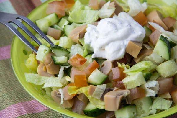 Salade de poulet avec sauce — Photo