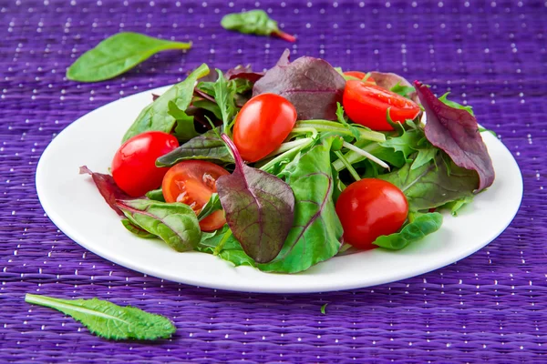 Salat mit Mangold, Spinat und Tomaten — Stockfoto