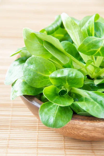 Maissalat in Holzschale — Stockfoto