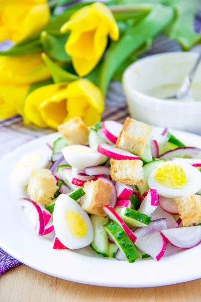 Tavaszi saláta, retek, uborka, tojás és zsemlekockával — Stock Fotó