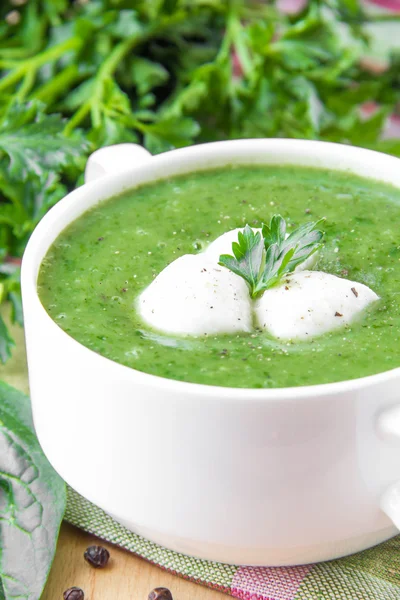 Gesunde Gemüsesuppe mit Spinat und Mozzarella — Stockfoto