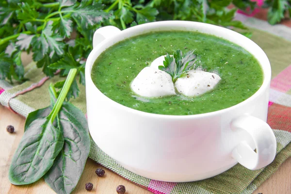 Ispanak ve mozzarella ile sağlıklı sebze çorbası — Stok fotoğraf