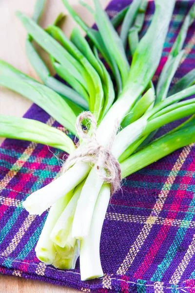 Fresh bunch of green spring onions — Stock Photo, Image