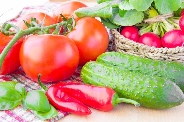 Fresh spring vegetables for salad: tomatoes, cucumbers and radis — Stock Photo, Image