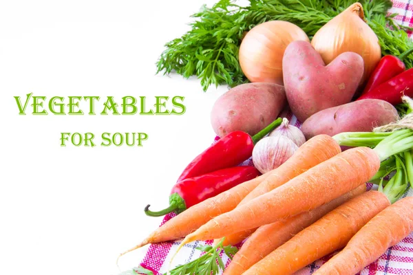 A set of vegetables for soup on towel as the background — Stock Photo, Image