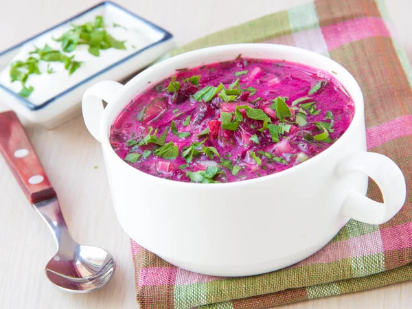 Traditional cold Lithuanian summery soup made of beets, cucumber — Stock Photo, Image