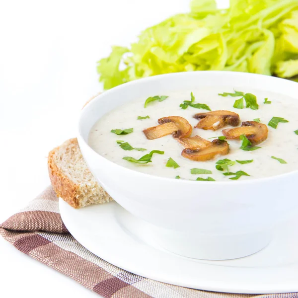 Суп из мягкого сыра с грибами, петрушкой и овощами — стоковое фото