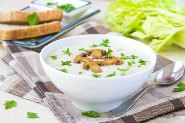 Суп из мягкого сыра с грибами, петрушкой и овощами — стоковое фото