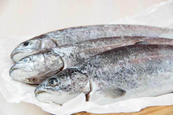 कच्चे मछली इंद्रधनुष ट्रॉट खाना पकाने के लिए तैयार — स्टॉक फ़ोटो, इमेज