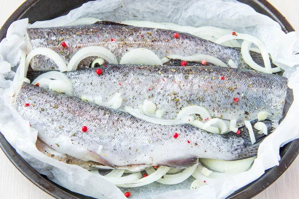 Raw fish rainbow trout prepared for cooking — Stock Photo, Image