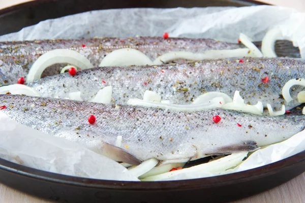 Raw fish rainbow trout prepared for cooking — Stock Photo, Image