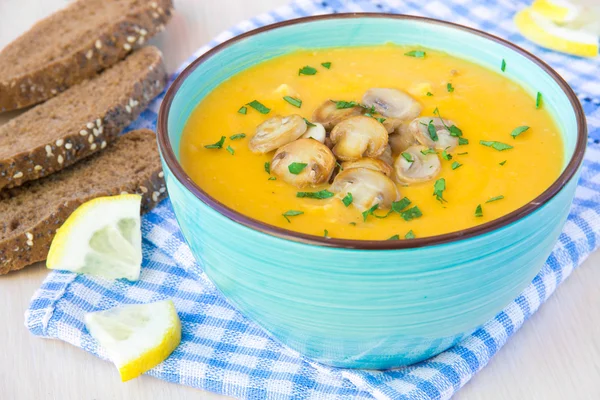 Fresh warm autumn soup with mushrooms champignon — Stock Photo, Image