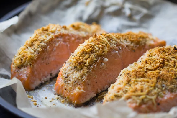 Steak fillet of red fish salmon with cheese crust breading — Stock Photo, Image