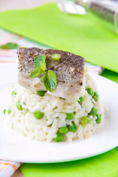 Risotto italiano con arroz, guisantes verdes, menta y pescado blanco — Foto de Stock