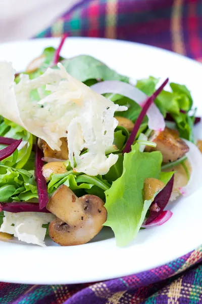 Fräsch sallad med sallad, svamp, rödbetor och ost chips — Stockfoto