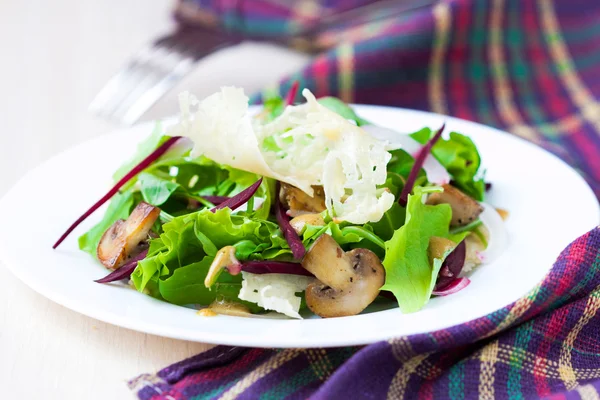 Свіжий салат з салатом, грибами, буряком та сирними чіпсами — стокове фото