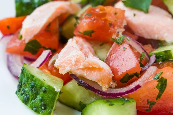 Fresh salmon salad with cucumbers, tomatoes, capsicum and onion — Stock Photo, Image